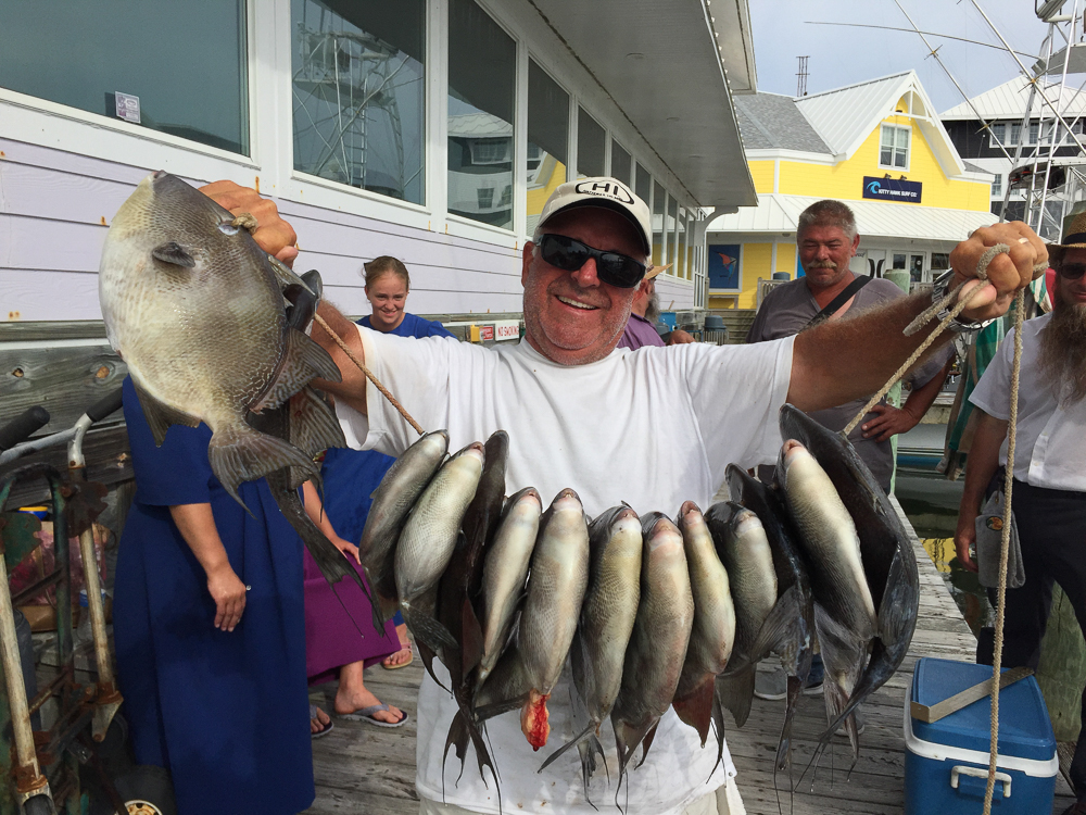 Raining Fish on the Stormy Petrel II!